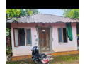 small-house-with-2-bedrooms-and-2-washrooms-for-sale-in-kothamangalam-small-0