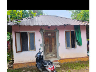 Small house with 2 bedrooms and 2 washrooms for sale in kothamangalam