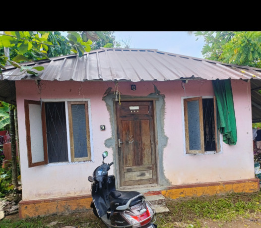 small-house-with-2-bedrooms-and-2-washrooms-for-sale-in-kothamangalam-big-0