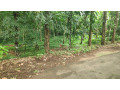 1-acres-land-for-sale-small-0