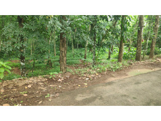 1 Acres Land for sale