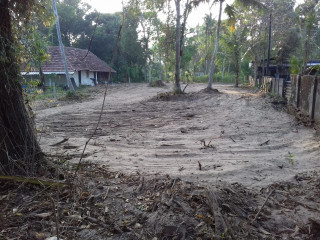 36 cent land for immediate sale in Alappuzha