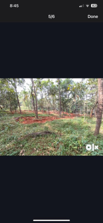 malappuram-valanchery-kavumpuram-plot-for-sale-big-0