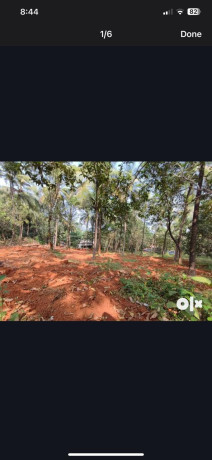 malappuram-valanchery-kavumpuram-plot-for-sale-big-3