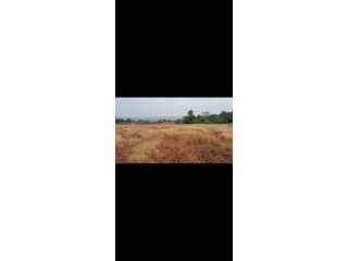 Open land for sale