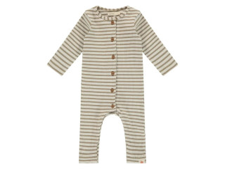 Newborn Bodysuit