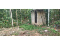 32-cent-beautiful-land-plot-in-potta-chalakudy-small-0