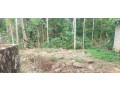 32-cent-beautiful-land-plot-in-potta-chalakudy-small-1