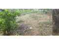 32-cent-beautiful-land-plot-in-potta-chalakudy-small-2