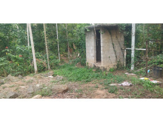 32 cent beautiful land plot in potta chalakudy