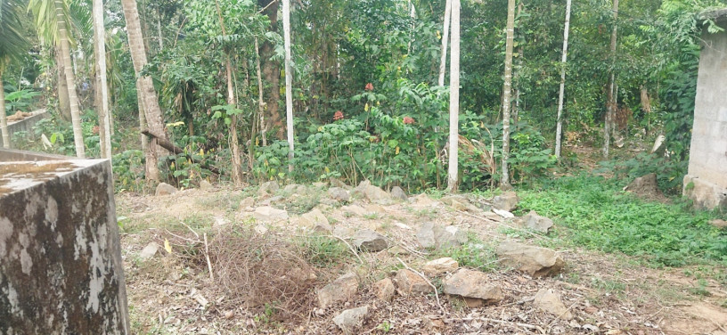 32-cent-beautiful-land-plot-in-potta-chalakudy-big-1