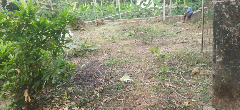 32-cent-beautiful-land-plot-in-potta-chalakudy-big-2