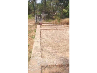 7.02 cent land with foundation included is ready to sell in Ponnani, Malappuram, Kerala