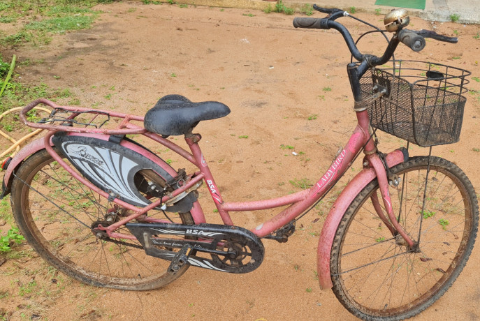 bsa-lady-bird-cycle-big-0