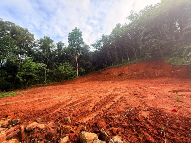 28-cent-land-for-sale-kombazha-big-1