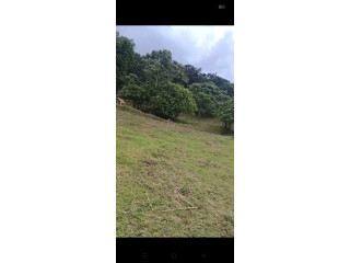 Land 10 cent mutual mannarkad