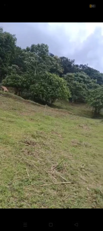 land-10-cent-mutual-mannarkad-big-0