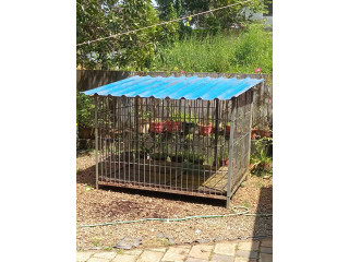 Dog cage