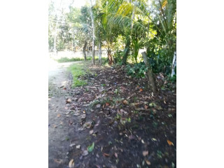 10 cent house plot for sale