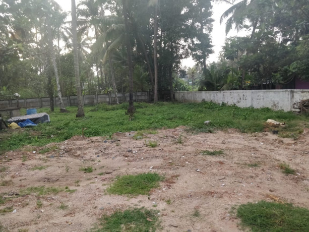 guruvayoor-near-thaikkhad-junction-plot-sale-6500-big-4