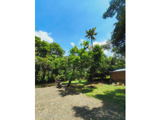 തൃശ്ശൂർ മണ്ണുത്തയിൽ പ്ലോട്ടുകൾ വില്പനയ്ക്ക് ️