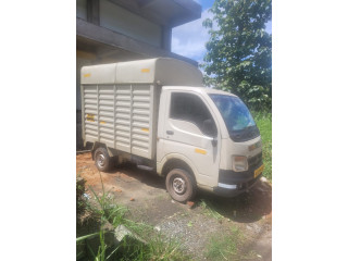 TATA ACE