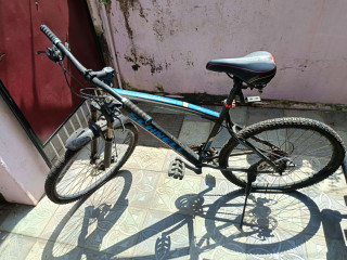 Schnell Adventure bicycle