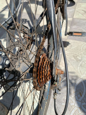 schnell-adventure-bicycle-big-2