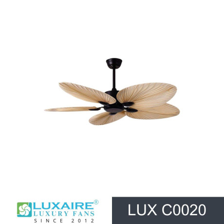 best-designer-fans-in-alappuzha-big-1