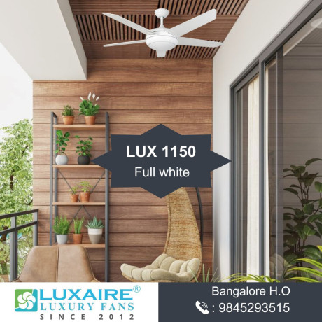 best-designer-fans-in-alappuzha-big-0