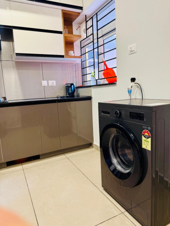 fully-furnished-2bhk-flat-for-rent-big-4