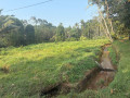 housecommercial-property-land-for-sale-small-0