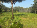 housecommercial-property-land-for-sale-small-3