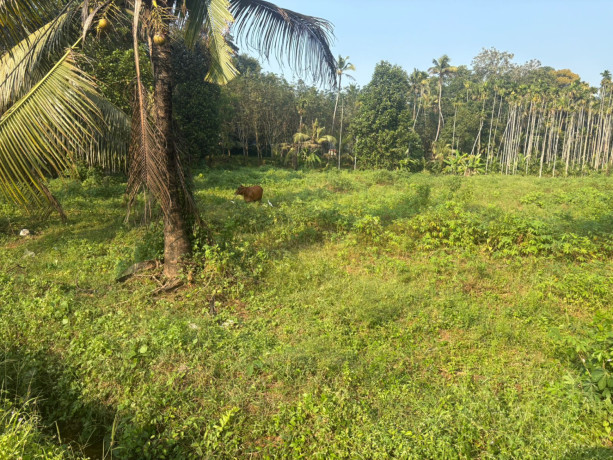 housecommercial-property-land-for-sale-big-1