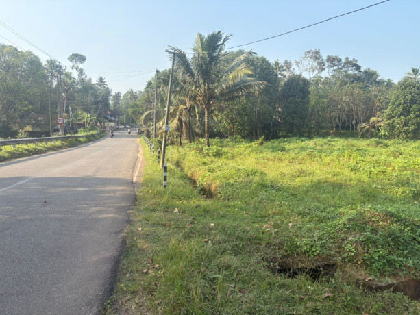 housecommercial-property-land-for-sale-big-2