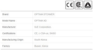 steam-car-washer-big-1