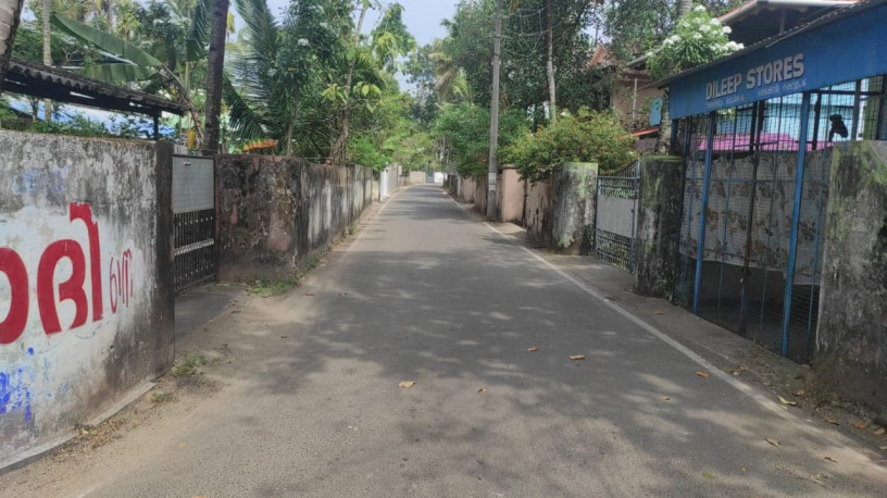 3-bed-room-house-for-rent-big-4