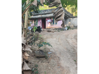 11 cent land and house