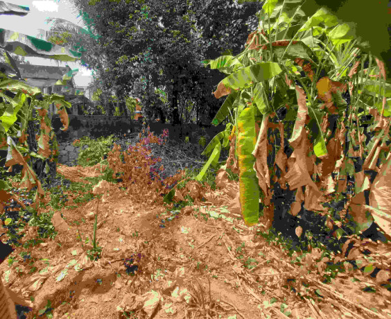 56-cent-for-sale-at-powdikonam-thiruvananthapuram-big-0