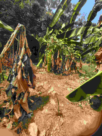 56-cent-for-sale-at-powdikonam-thiruvananthapuram-big-1