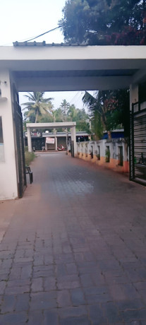 2-bedroom-villa-for-rent-big-1