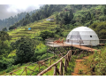 best-resorts-in-kodaikanal-top-10-resorts-in-kodaikanal-small-4