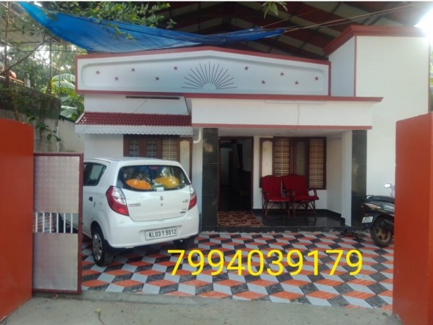 5-cent-with-house-at-ayathil-near-sn-public-school-ayathil-kollam-big-0