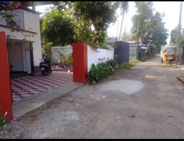 5-cent-with-house-at-ayathil-near-sn-public-school-ayathil-kollam-big-2
