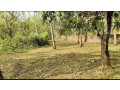 land-for-sale-small-0