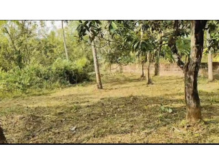 Land for sale