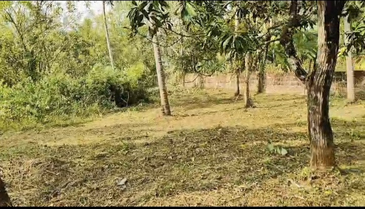 land-for-sale-big-0