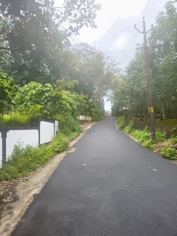 land-for-sale-30-cents-at-ceylon-kavala-kottayam-district-big-3