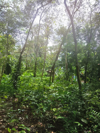 land-for-sale-30-cents-at-ceylon-kavala-kottayam-district-big-4