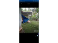 sale-plot-39-cent-and-house-small-1